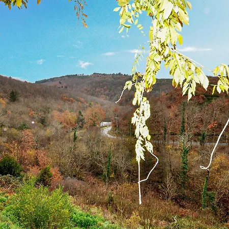 2 Bedroom In Mazamet